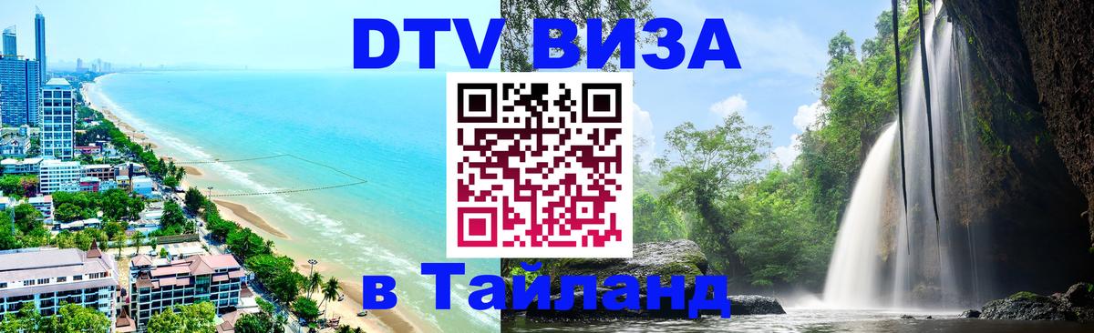 Сколько стоит DTV виза — актуальные цены, оформление даже без документов - Новочебоксарск 